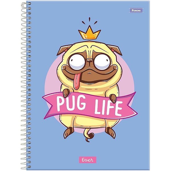 Caderno 10X1 Capa Dura EVER 160 Folhas Pacote com 4 Unidades
