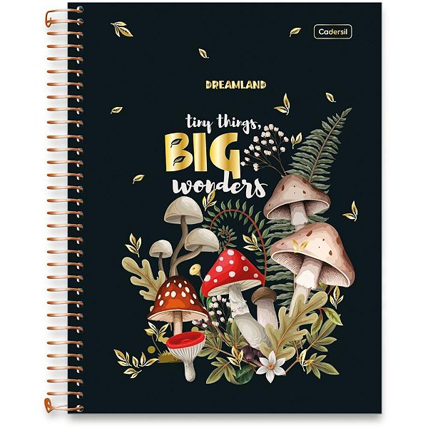 Caderno 1X1 Capa Dura Dreamland Metalizado 80 Folhas Pacote com 4 Unidades