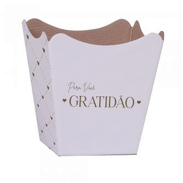 Cachepot Paper Decorado Pote 15 Essência BC 16X17X11CM Pacote com 10