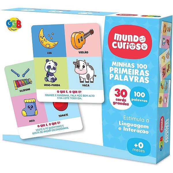 Brinquedo Pedagógico Minhas 100 Primeiras Palavras