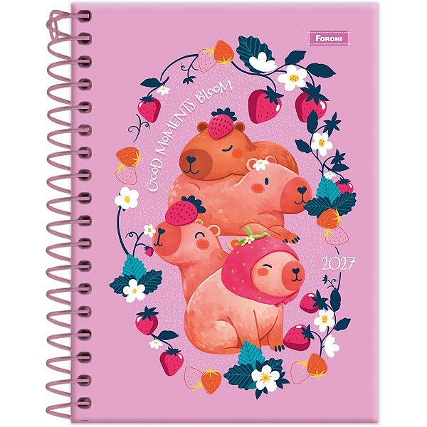 Agenda 2027 Amazzu Espiral 160 Folhas 110 X 154 MM Pacote com 04
