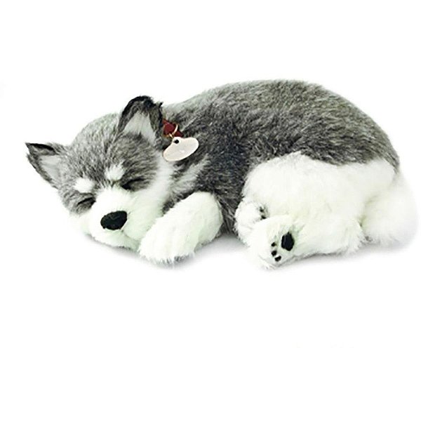 Perfect PETZZZ Filhote Cachorro HUSKY