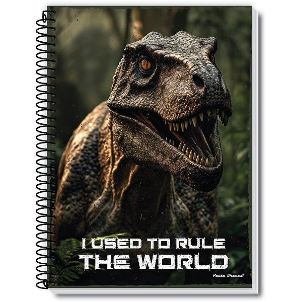 Caderno 20X1 Capa Dura Historic 320 Folhas Pacote com 02