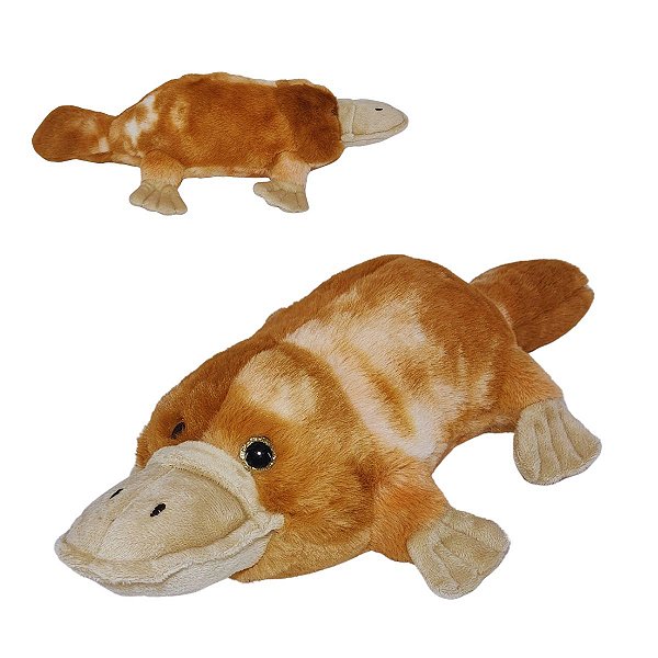 Ornitorrinco de Pelúcia Fizzy Toys – Pelúcia Realista, Fofa e Criativa