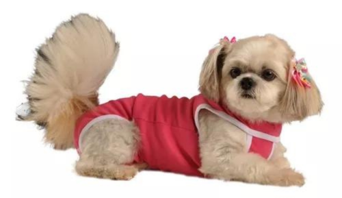 Roupa Cirurgica Kaleo Femea N°5