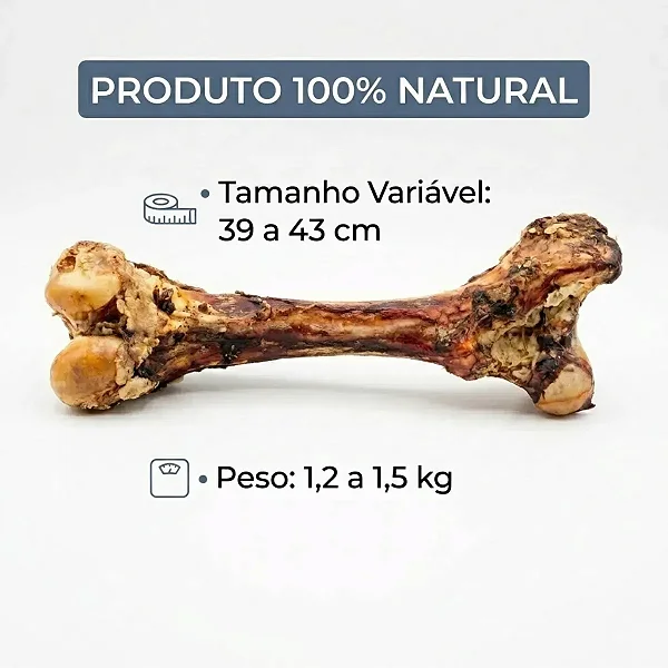 Femur Bovino