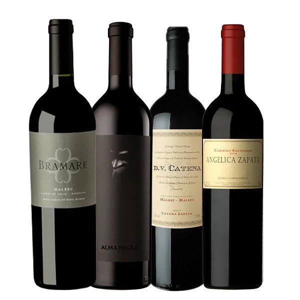 Kit Viña Cobos e Catena Zapata