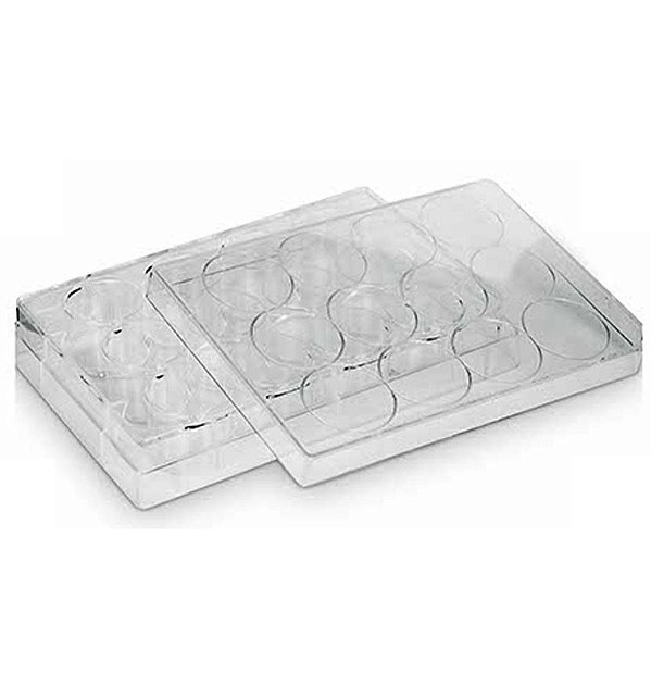 Microplaca Para Cultura Celular Com 12 Orifícios Estéril
