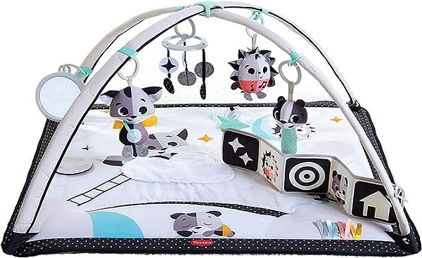 Tapete Ginásio de Atividades Gymini - Tiny Love