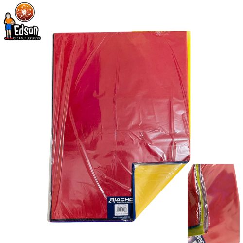 FOLHAS DE SEDA 50X70 SORTIDO RIACHO - 100 UNIDADES
