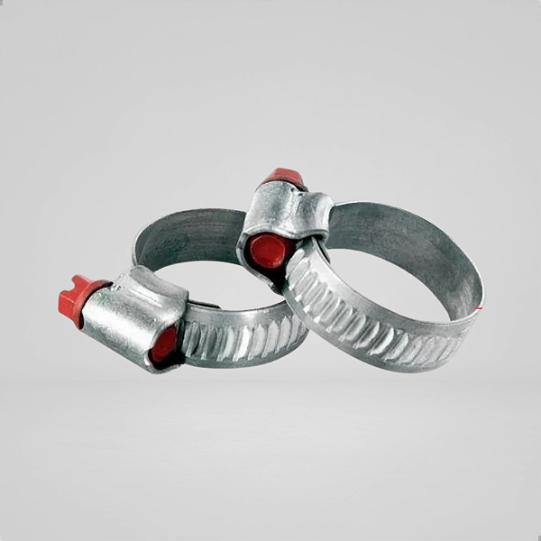 Par Abraçadeira Para Mangueiras Automotivas 19x27mm - Universal - Alta Resistência