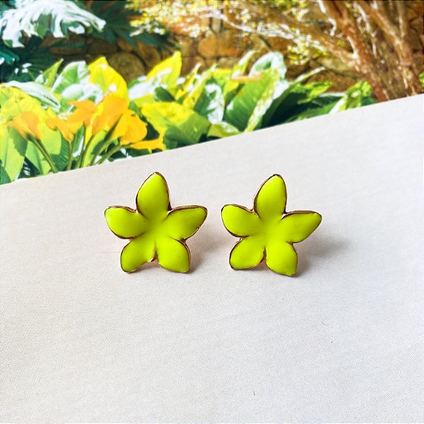 Brinco flor 5 pétalas resinada