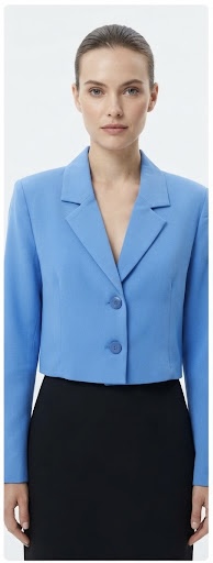 BlAZER CROPPED AK
