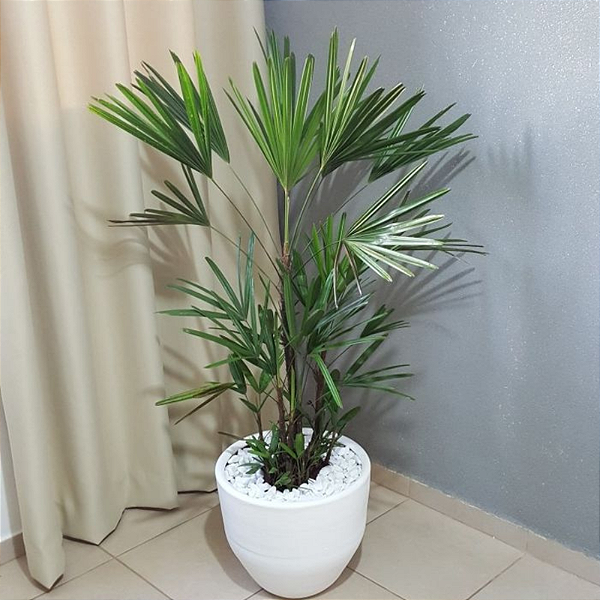 Pedrisco branco para jardim N01 20kg