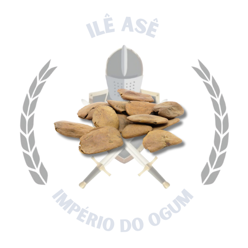 FAVA ABERÉ