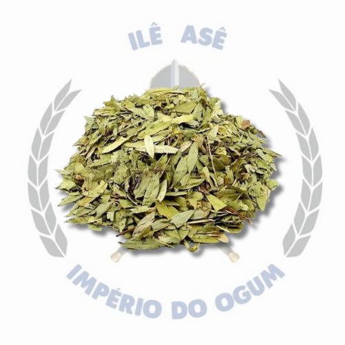 ERVA SECA - SENE