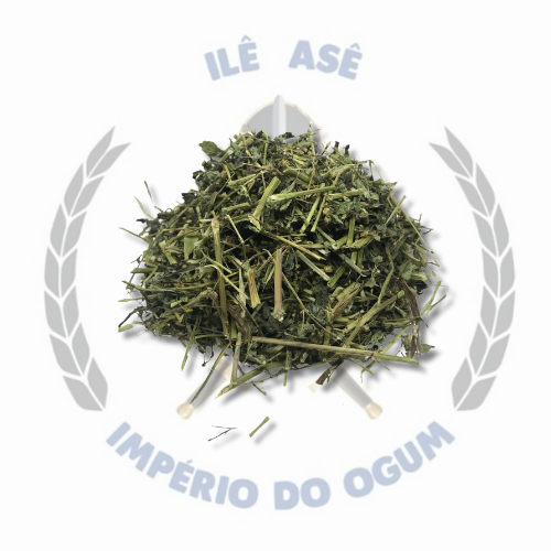 ERVA SECA - PICÃO BR