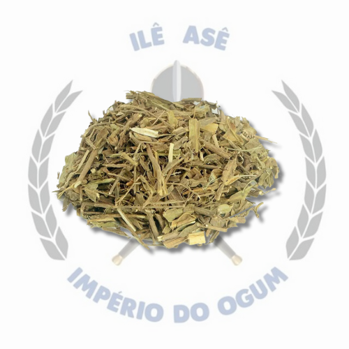 ERVA SECA - CARQUEJA