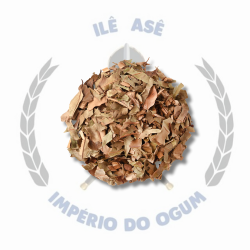 ERVA SECA - JAMBOLÃO