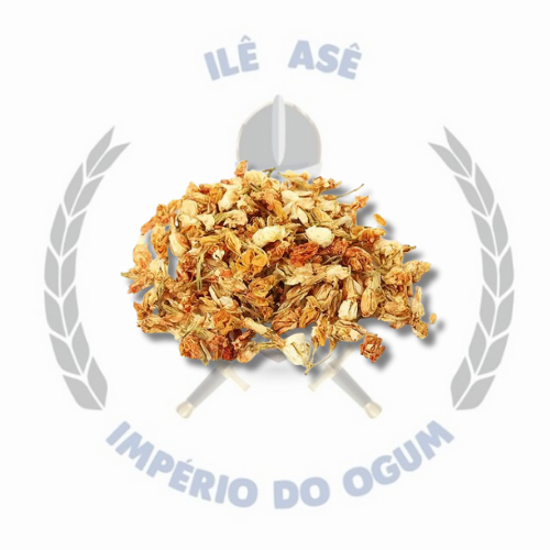 ERVA SECA - JASMIM