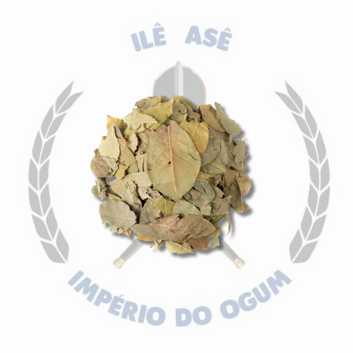 ERVA SECA - LOURO