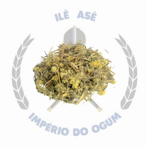 ERVA SECA - MACELA