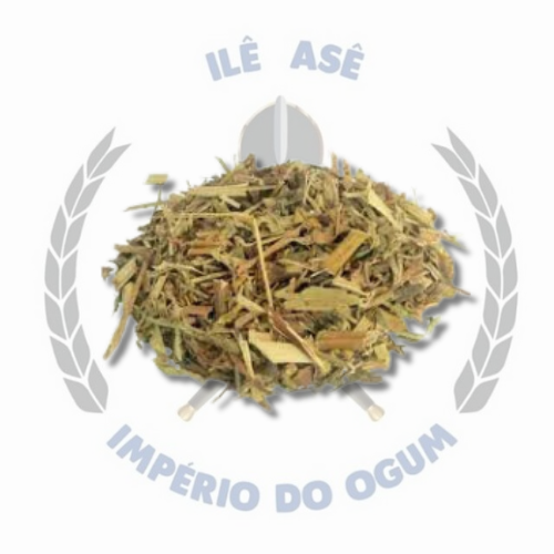 ERVA SECA - MALVA