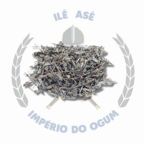 ERVA SECA - LEVANTE