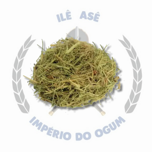 ERVA SECA - MELÃO DE SÃO CAETANO