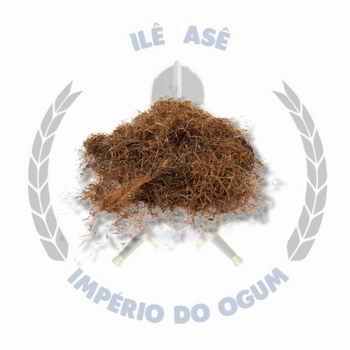 ERVA SECA - CABELO DE MILHO