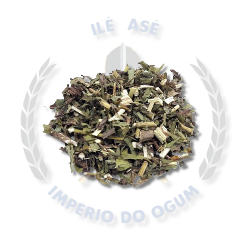 ERVAS SECA - ARNICA