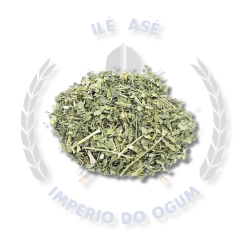 ERVAS SECAS - ARRUDA