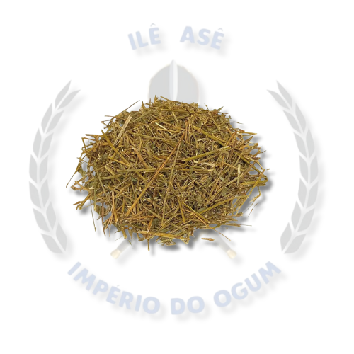 ERVAS SECAS - ALFAFA