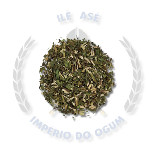 ERVAS SECAS - ARNICA DO MATO