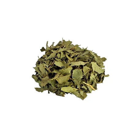 ESPINHEIRA SANTA - 50g - BIOPHYTOS