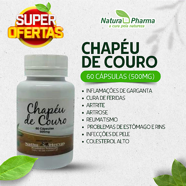 CHAPÉU DE COURO - 60 CÁPSULAS (500mg) - BIOPHYTOS