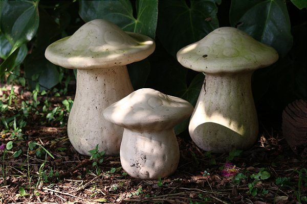 TRIO DE COGUMELOS