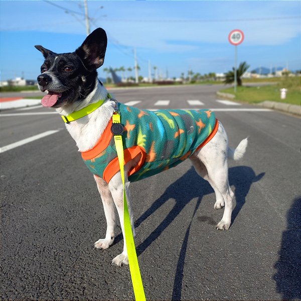 Agasalho de Soft Dinos Sem Capuz