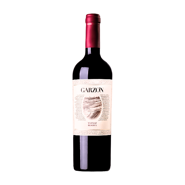 Garzon Reserva Tannat