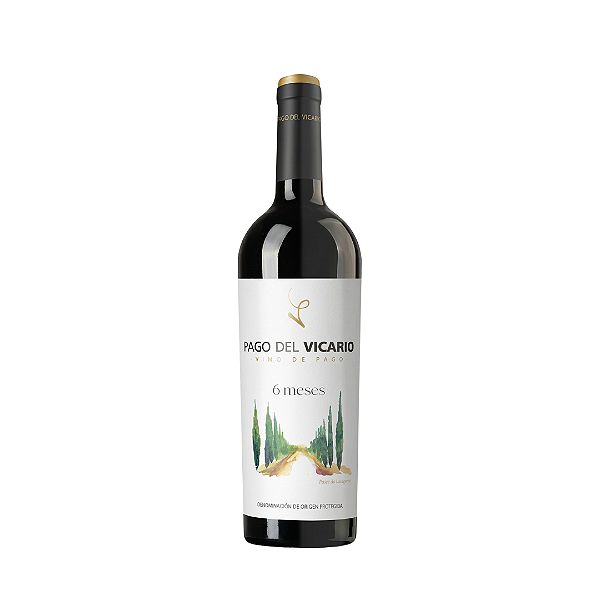 Pago Del Vicario 06 meses Tempranillo/Garnacha/Merlot e Petit Verdot