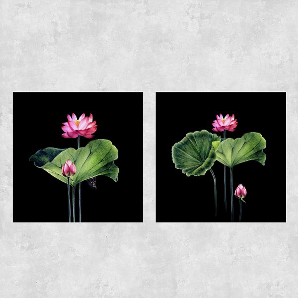Conjunto de 2 quadros - Flor de Lotus - Série Botanic