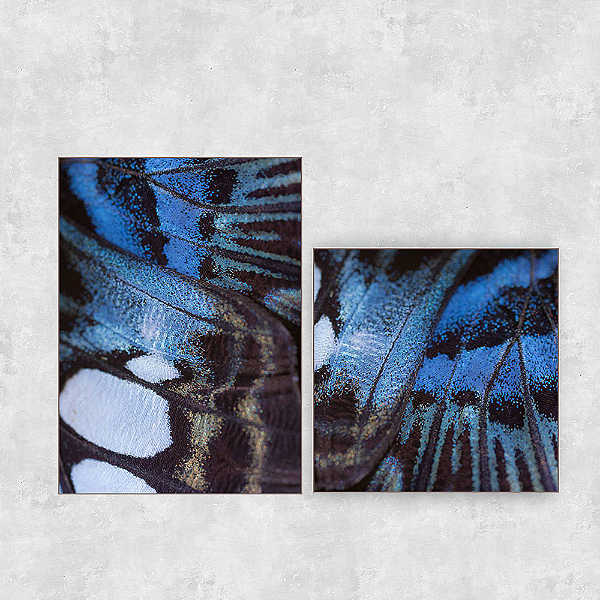 Conjunto de 2 quadros - Poesia Alada - Série Macro