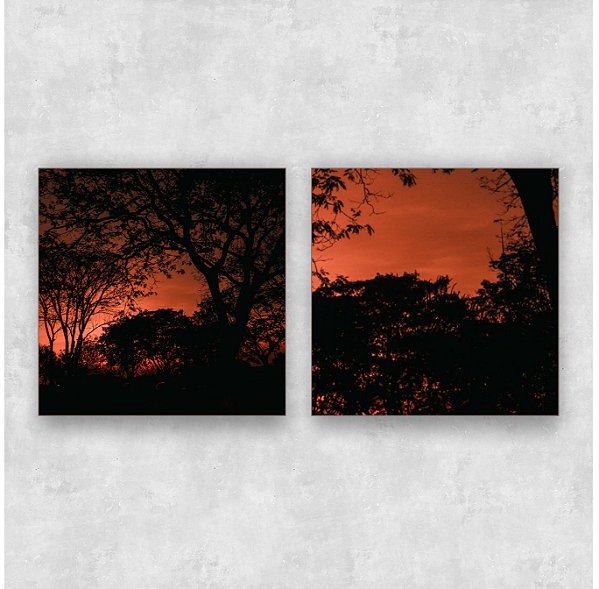 Conjunto de 2 quadros - Fotografia Autoral 11|12- Artista: Allan Vierne