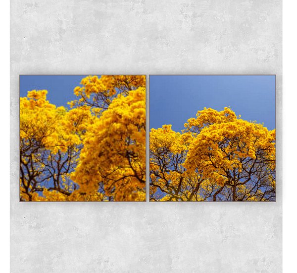 Conjunto de 2 quadros - Serenidade do Bosque - Série Botanic