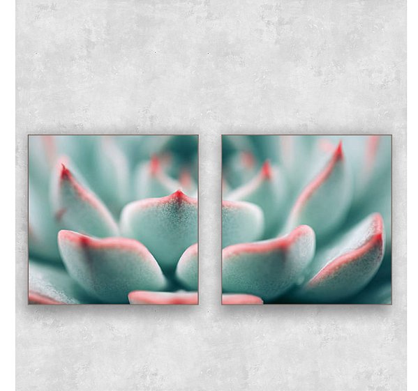 Conjunto de 2 quadros - Suculenta em Detalhes- Série Botanic
