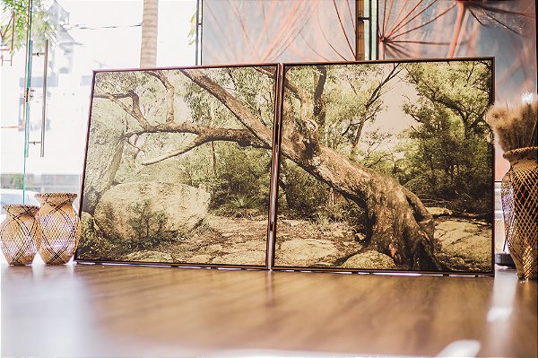 Conjunto com 2 quadros em tela canvas medindo 70cmx70cm cada