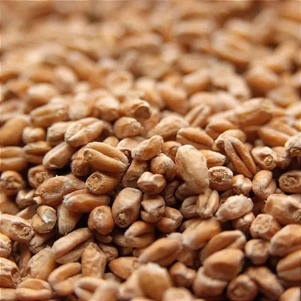 Malte de Trigo claro agrária 100g