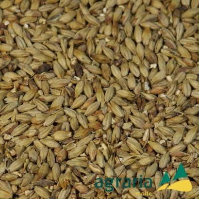 Malte Agraria Munique 100g