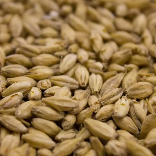 Malte Pilsen Agraria 1kg