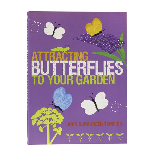 Attracting Butterflies to Your Garden - John e Maureen Tampion